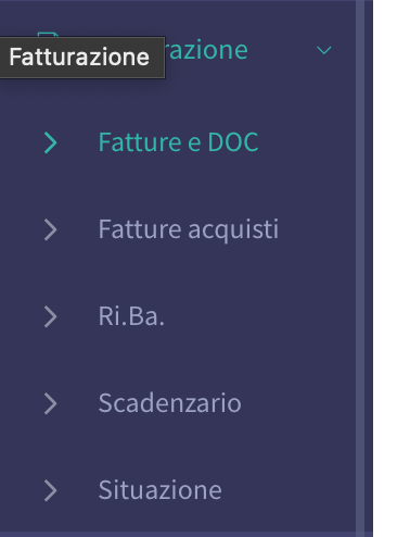 Schermata 2023-05-31 alle 12.57.56 menu fatturazione per sezionali